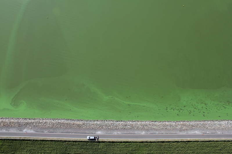 Algea growth in a water reservoir